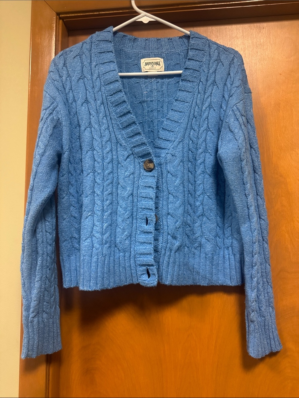 American Eagle Outfitters Sky Blue Cable Knit V-Neck Cardigan